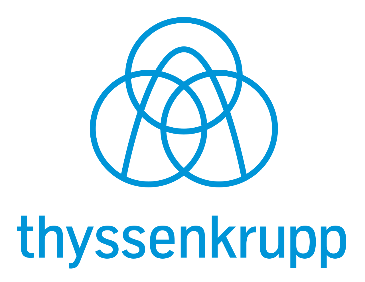 thyssenkrupp – klient referencyjny WOHLFEIL